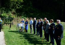 Občina Slovenske Konjice: Trgatev potomk najstarejše trte povezala Škalce in Žičko kartuzijo